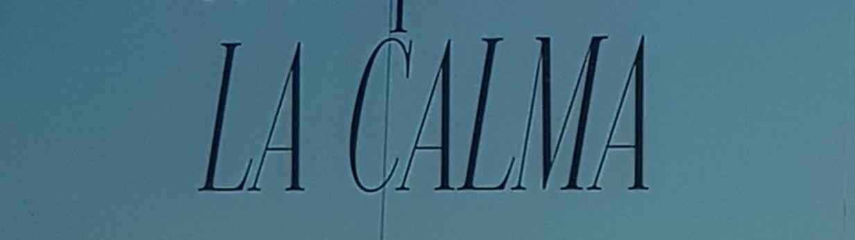 La Calma - Sea View - Private Space 100M Beach Candelaria Buitenkant foto